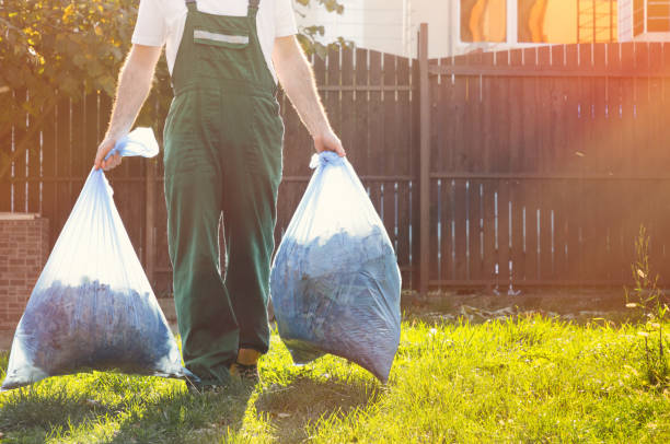 Best Attic Cleanout Services  in David City, NE