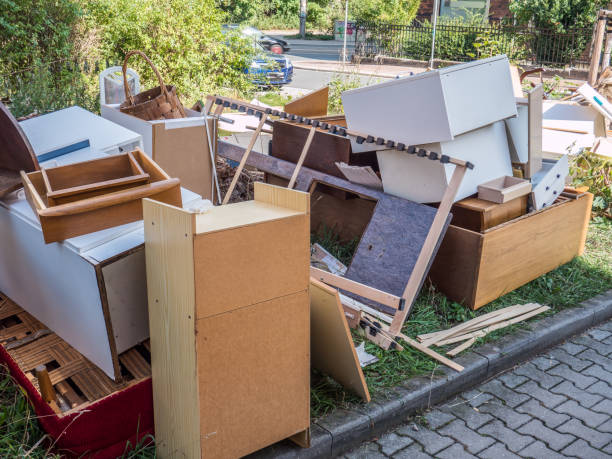 Best Household Junk Removal  in David City, NE